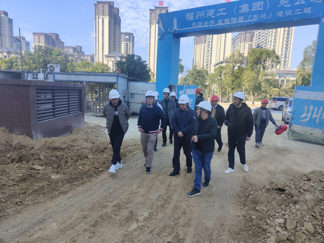 市博源国际公司领导赴金禾公司各在建项目开展农民工工资督查和安全、质量调研指导